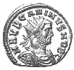 Carinus