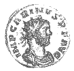 Carinus