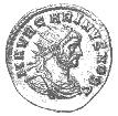 Carinus