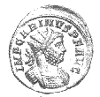 Carinus