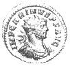 Carinus