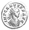 Carus
