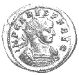 Carus