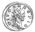 Carus