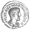 Maximus