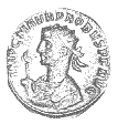 Probus