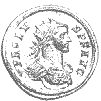 Probus