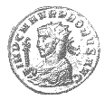 Probus