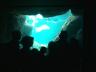 The Oceanarium