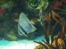 The Oceanarium