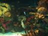 The Oceanarium