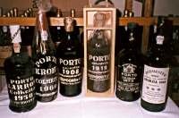 Collection of old Port Wines