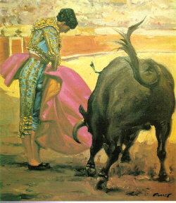 Bull Fight