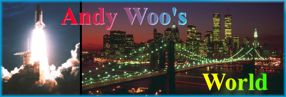 Andy Woo's World
