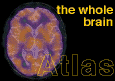 Whole Brain Atlas Logo