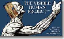 Visible Human Logo