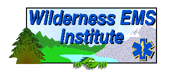 Wilderness Logo