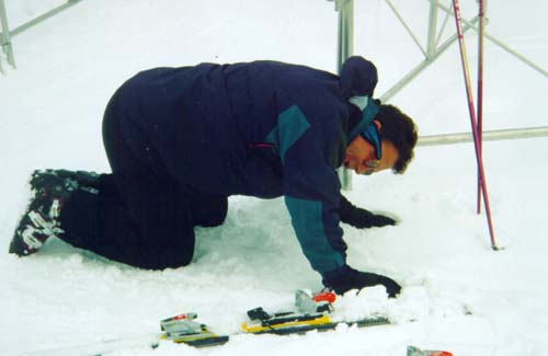 crawl.JPG (20452 bytes)