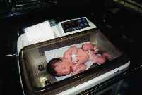 Nursery 1 - 31Kb