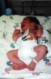 Nursery 3 - 25Kb