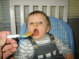 feedme