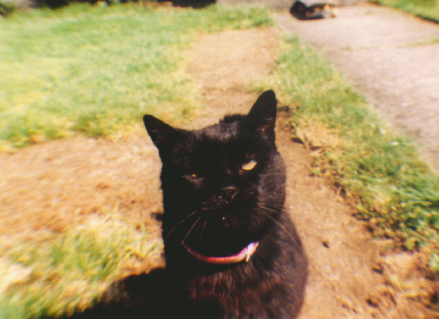 bighead.jpg - 66638 Bytes