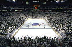 Image of whiteout.jpg
