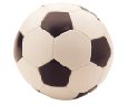 Historia do Santos F.C.