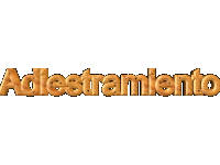 Adiestramiento