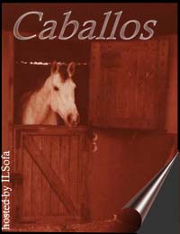 Caballos