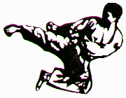 kick.gif