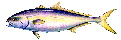 THE FISHING HOLE