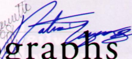 [Patrice Lauzon]