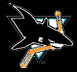 San Jose Sharks