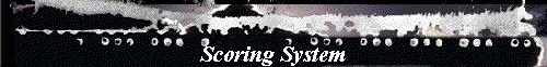  Scoring System 