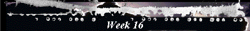  Week 16 