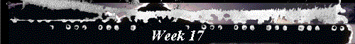  Week 17 