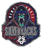 Cincinnati Silverbacks