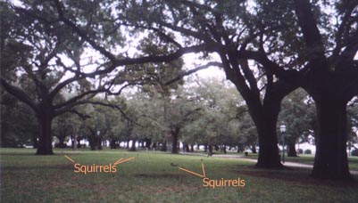 Park at Battery Row