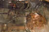 Image03.jpg (277802 bytes)