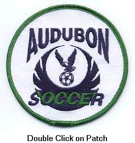 A.S.A. Logo