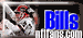 Go here to check out other great BILLS pages!