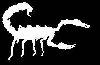 Scorpions