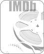 Movie Database filled with Info on Movies