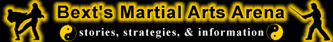 Martal Arts Arena Banner