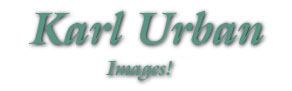 banner2.jpg (7134 bytes)