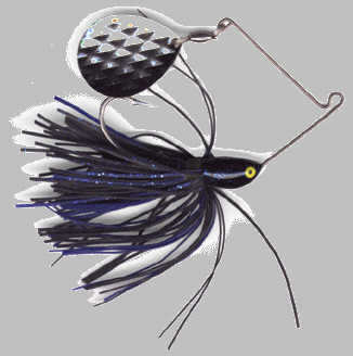 sking.gif (31090 bytes)