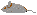 catmouse.gif - 240 Bytes