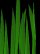 grass.jpg - 1349 Bytes