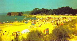 plydawlish.jpg - 17414 Bytes